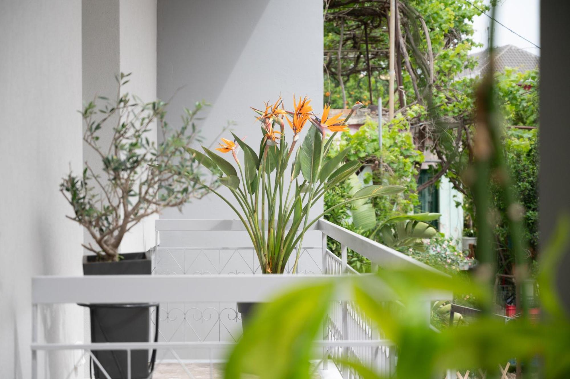 Louisa Luxury Apartments Preveza Luaran gambar